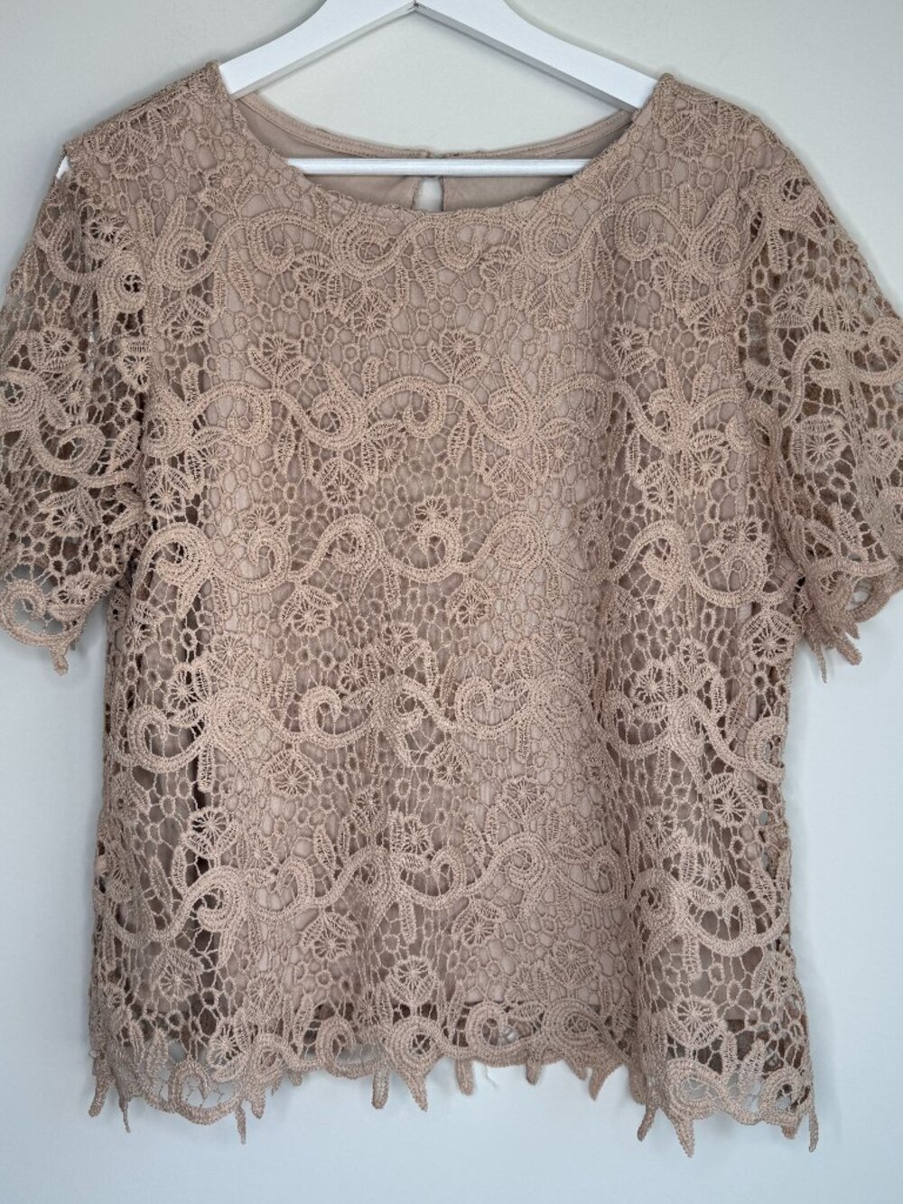 Adiva Lace Blouse Short Sleeve Pale Pink Tan Cream